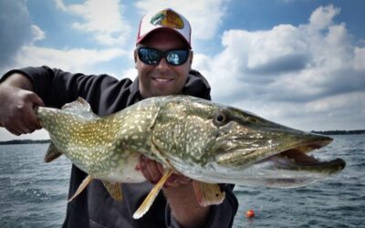 Fischers Maxe – Raubfische im großen See / Barsch, Hecht & gute Laune-Schweriner See