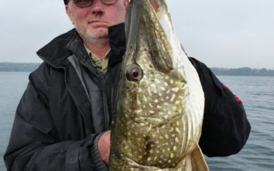 Big Mama hat gezündet & weitere Top Fische !!!