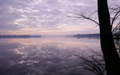 Angelimpressionen vom Schweriner See !!!