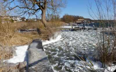 Der Schweriner See ist wieder Eisfrei !!!
