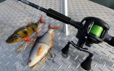 Abu Garcia Fantasista Beast Casting !!!