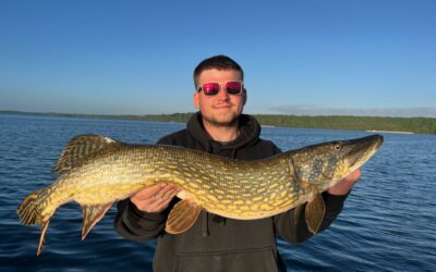 Schöner Meterfisch !!!